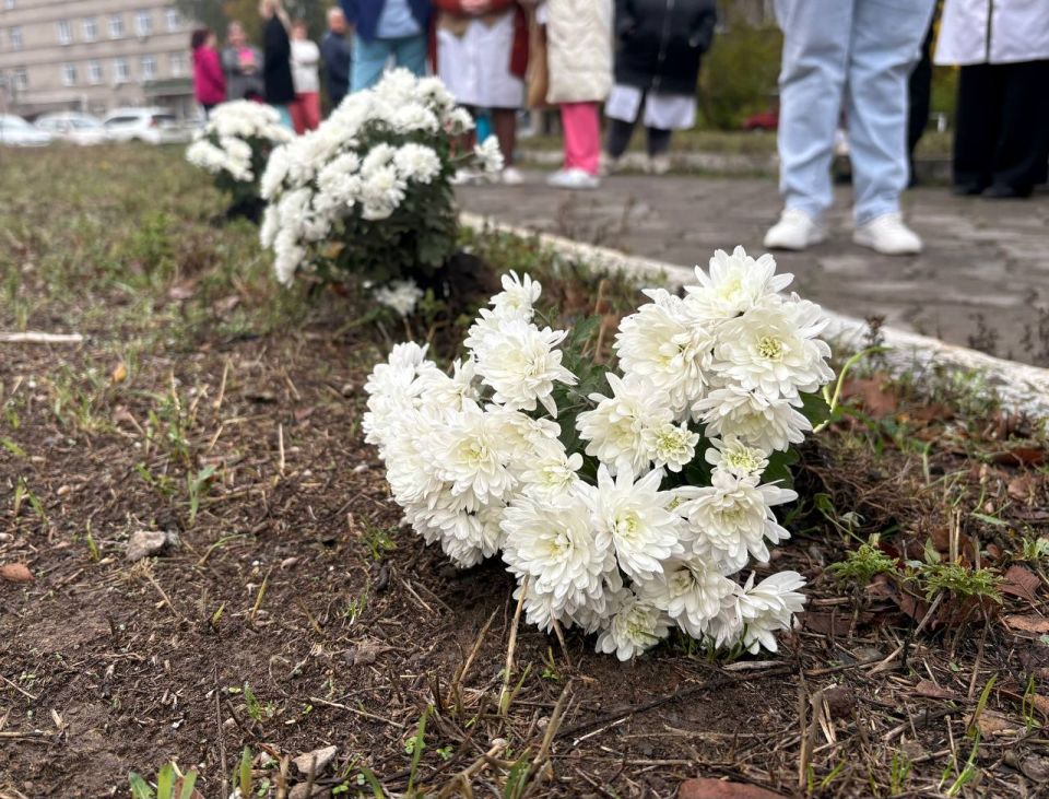 На территории больницы ГБУ ДНР «ЦГКБ № 6 г. Донецка» прошла акция по высадке хризантем, организованная в рамках партийного проекта «Чистая страна» Всероссийской политической партии «Единая Россия»