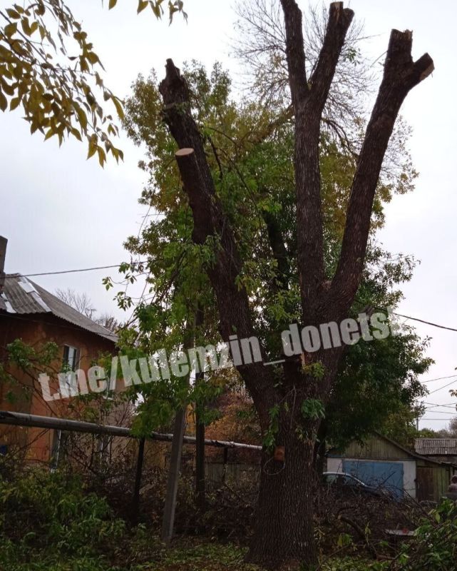 ������������� �.�. ������ ��������� �� ������������� ������� ������������� ����� �� ���������� ��� ��� ���������� ���������� ��������� ������, ����������� �� ������ ���� ����� ��� ������ ��������