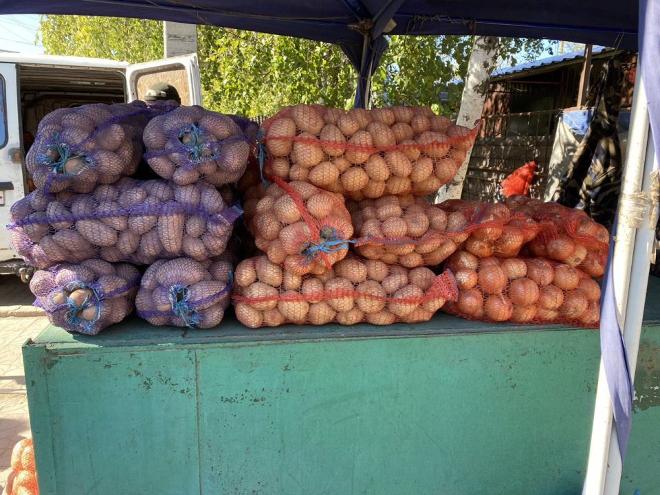 "Без картошки не можем": жители Новоазовского округа ДНР назвали лучшие сорта и самые вкусные блюда
