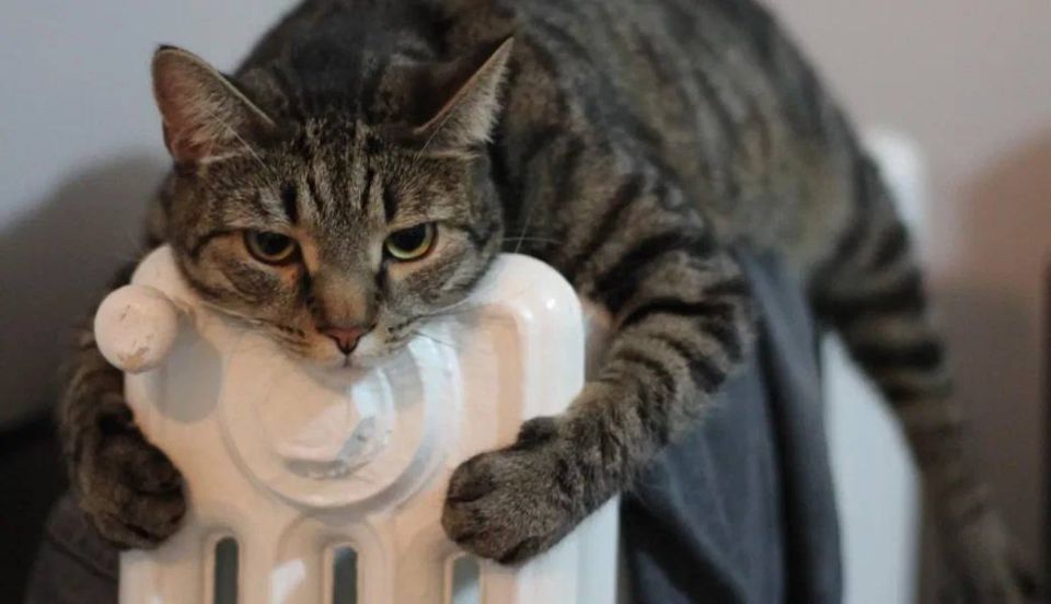 Виктория Мельникова: Официально: в ДНР стартовал отопительный сезон!