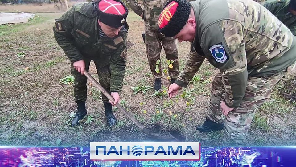 Память в каждом саженце: донецкие казаки и кадеты заложили Аллею казачьей славы