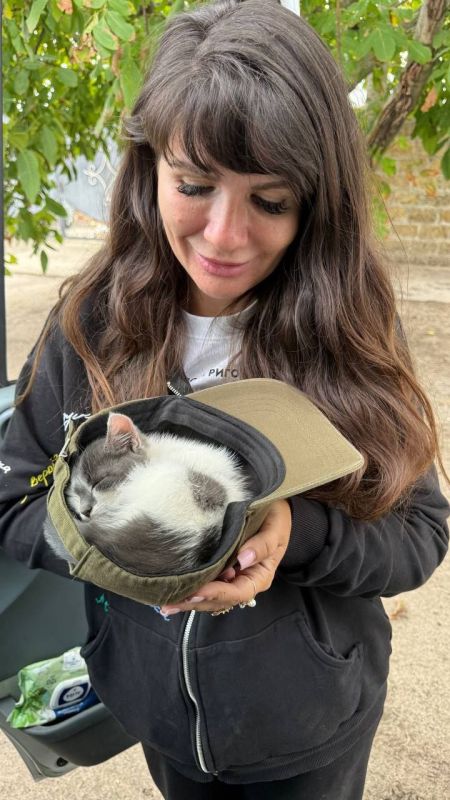 Валерия Петрусевич: Хотите узнать, чем закончилась для меня история о котенке, которого я привезла с новых территорий?