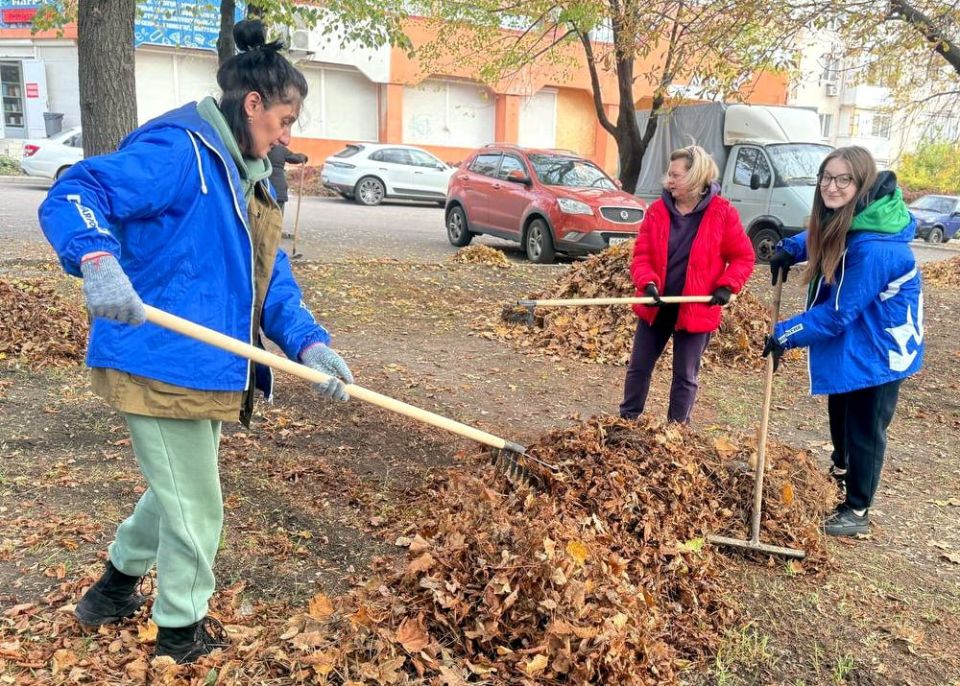 Иван Адамец: Сотрудники Управы Куйбышевского района, специалисты отдела опеки и попечительства №6 и активисты ДГУЮ МГЕР ДНР провели совместный осенний субботник