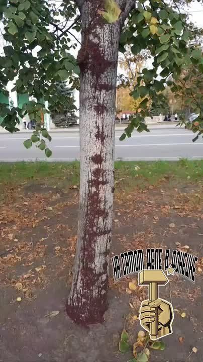 #��������. ���� �� ������, � ����� � �����������, �������� � � ��������������� ���������