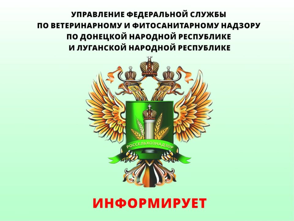 ������ �������� � ������� ��������� � ������ ��� �������� �����