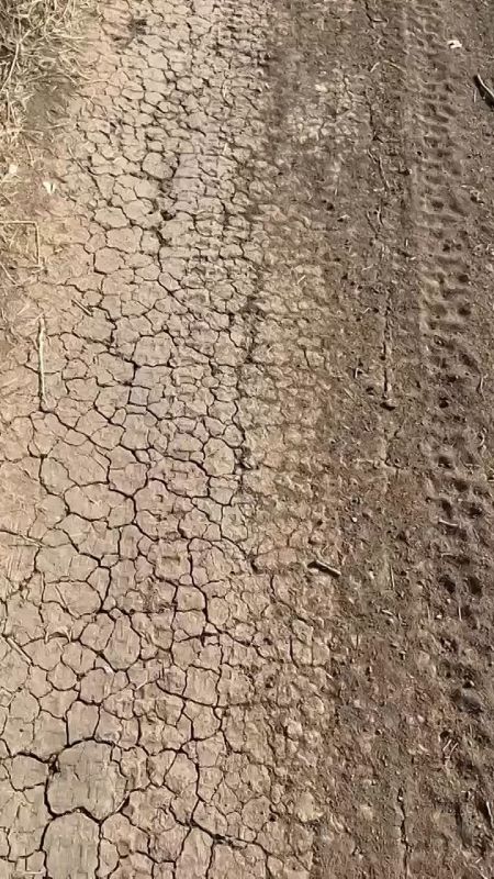 "��� ��� - ��� ������ !". ���������� 37 ��������� ����������� �������������� ������� �� ������� �������� ���� ������������ ���������������� �������� ��������� ������