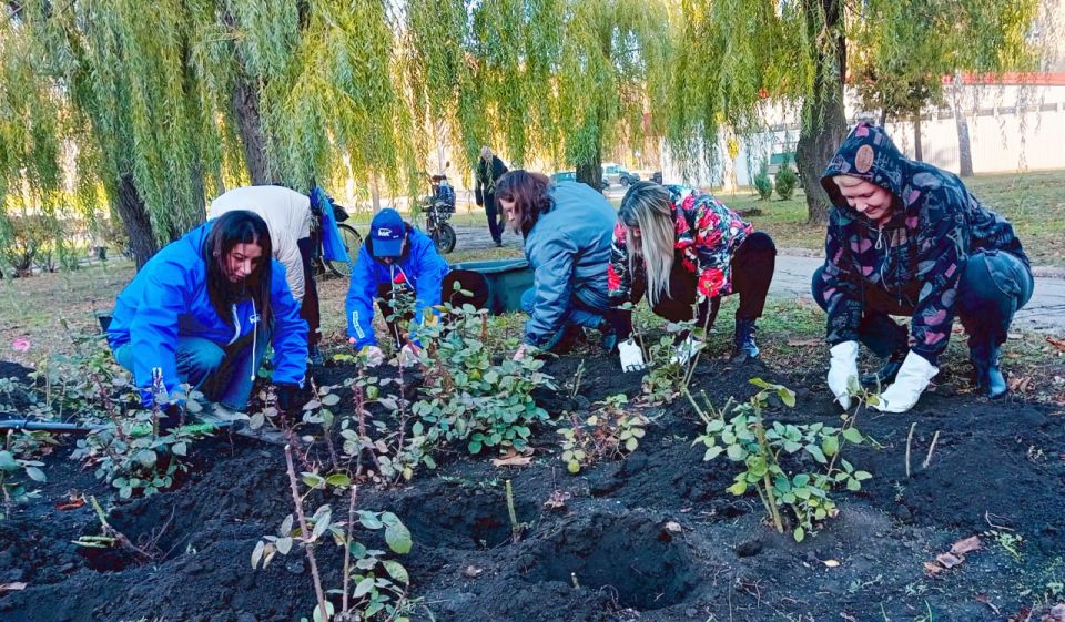 Наталья Бегуненко: Петровский район присоединился к еженедельной акции Чистый четверг в рамках проекта «Городская среда» партии Единая Россия