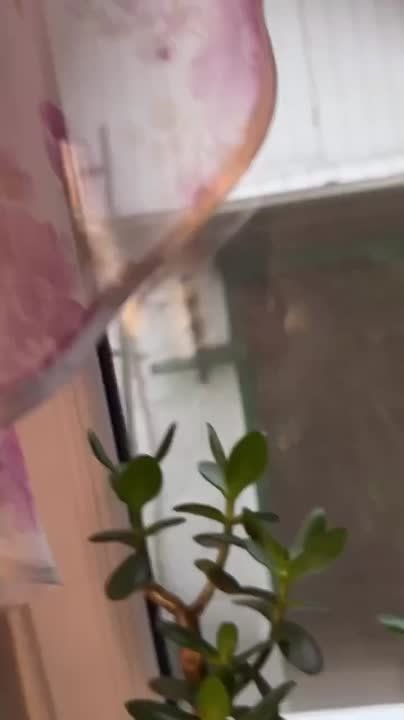 ��������� ������ �������!�: ��� � ����� �� ������ ����� �� 6 ��� ������ ������?