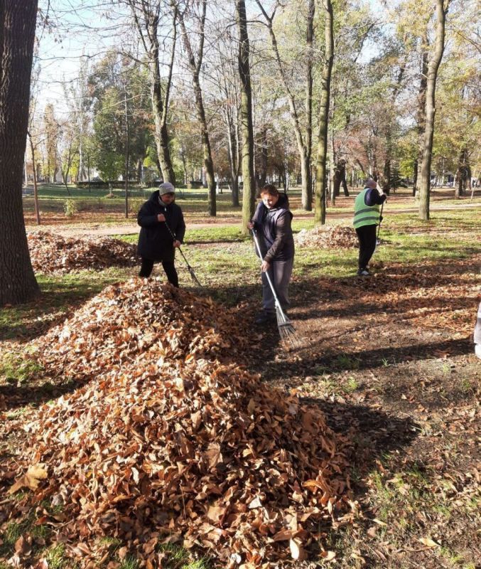 Наталья Бегуненко: На территории Петровского района коммунальные предприятия приняли активное участие в акции Чистый четверг