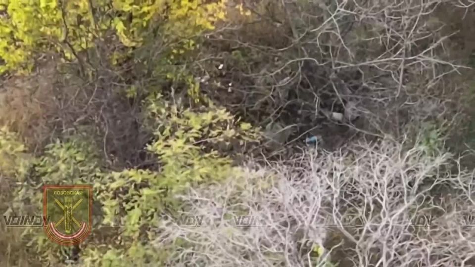 � ���� ��������������� 29 ����� ����������� ����� "������" 36 ����������� ������� ���������� ��������� �����, ������������ ������ ���������� ������� ��������� � ����� ���� ����� ������������ ������� ��������, FPV �������� ��...