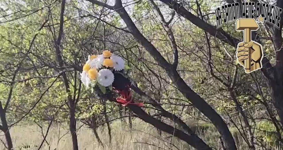  -   :     ,  , ***,   