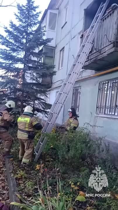Донецкие огнеборцы ликвидировали пожар в Куйбышевском районе