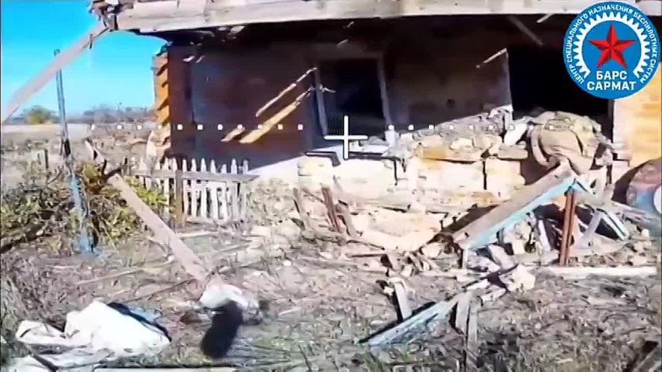 Дмитрий Рогозин: Разбор укрытий, блиндажей и лисьих нор в поисках укрывшихся там натовских коллаборационистов