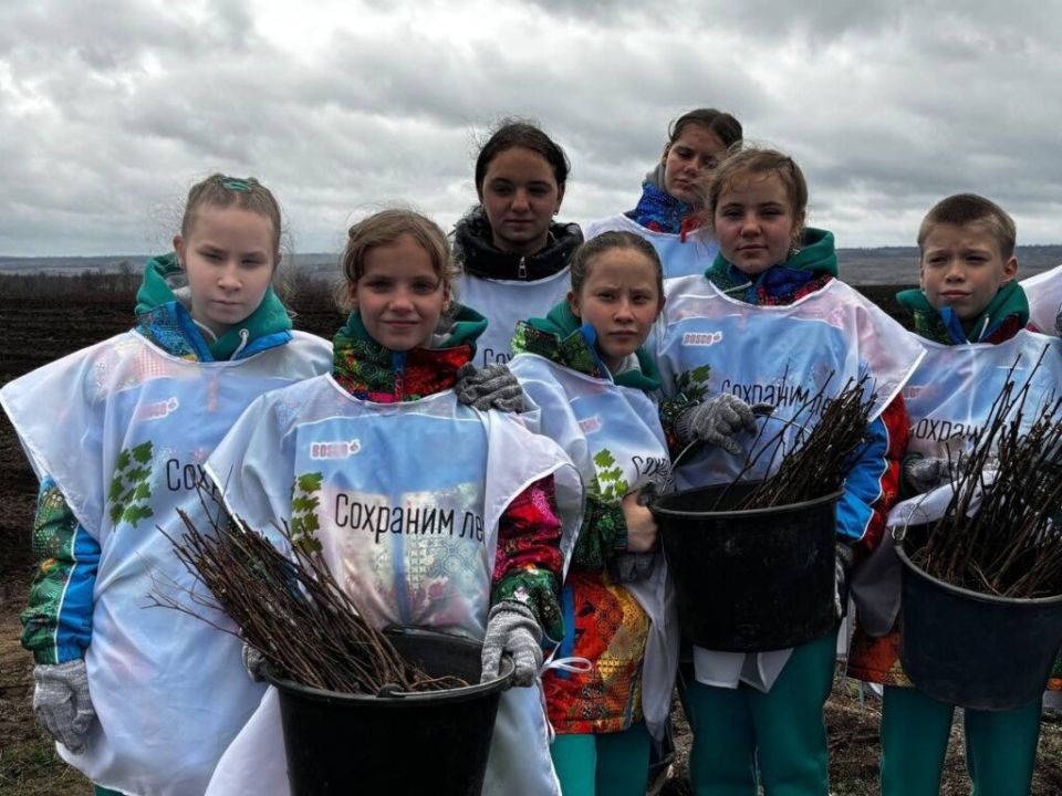 В этом году будут восстановлены 40 га насаждений в рамках акции «Сохраним лес»