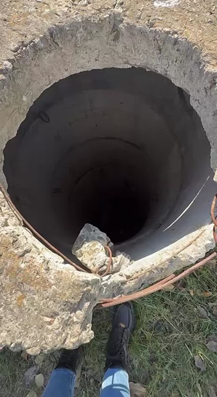 В Донецке собака упала в 10-метровую яму — МЧС отказалось выезжать