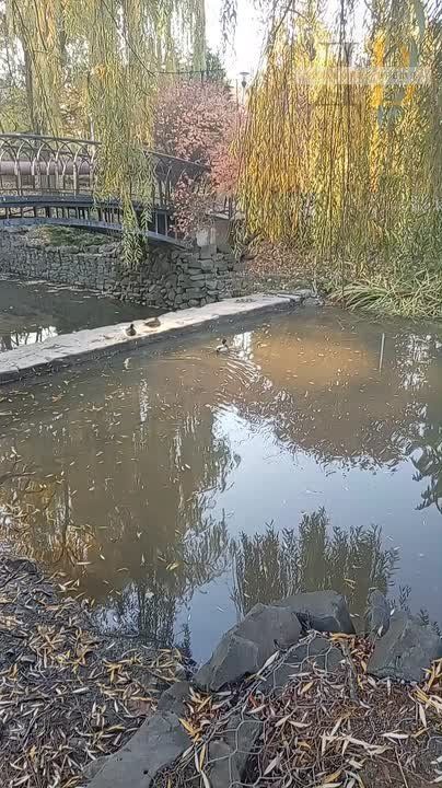 Воды не много, но она есть: после дождей водоемы в сквере у "Конти" в Донецке стали заметно полнее