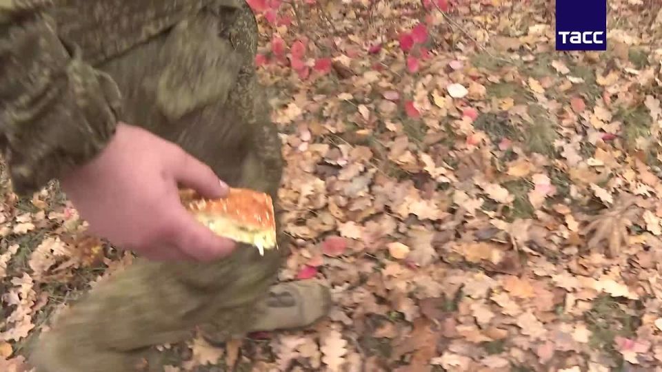 Со вкусом домашнего уюта: военным в ДНР в честь праздника доставили на передовую пироги