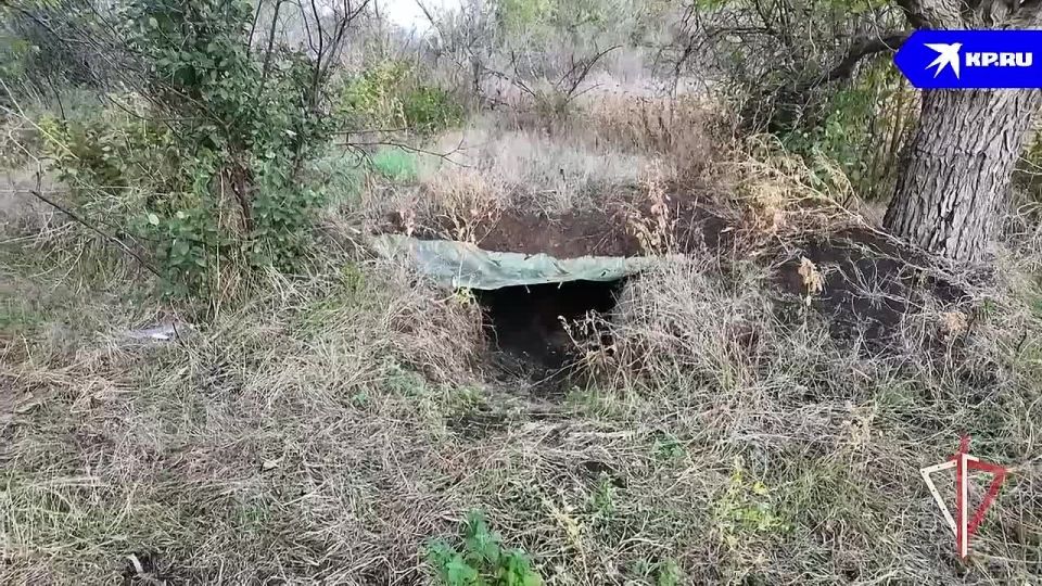 В ДНР росгвардейцы обнаружили крупный схрон ВСУ с оружием НАТО