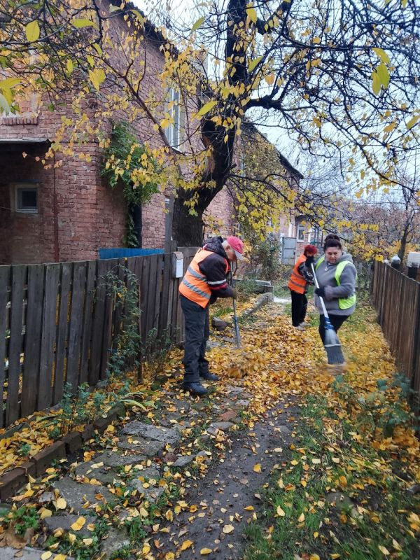 , 6  2025 ,     ,    ,            