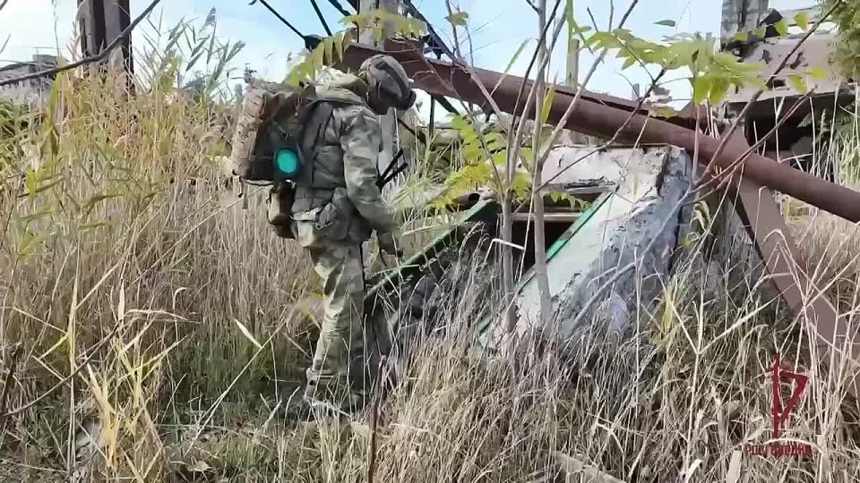   ,       ,                * 