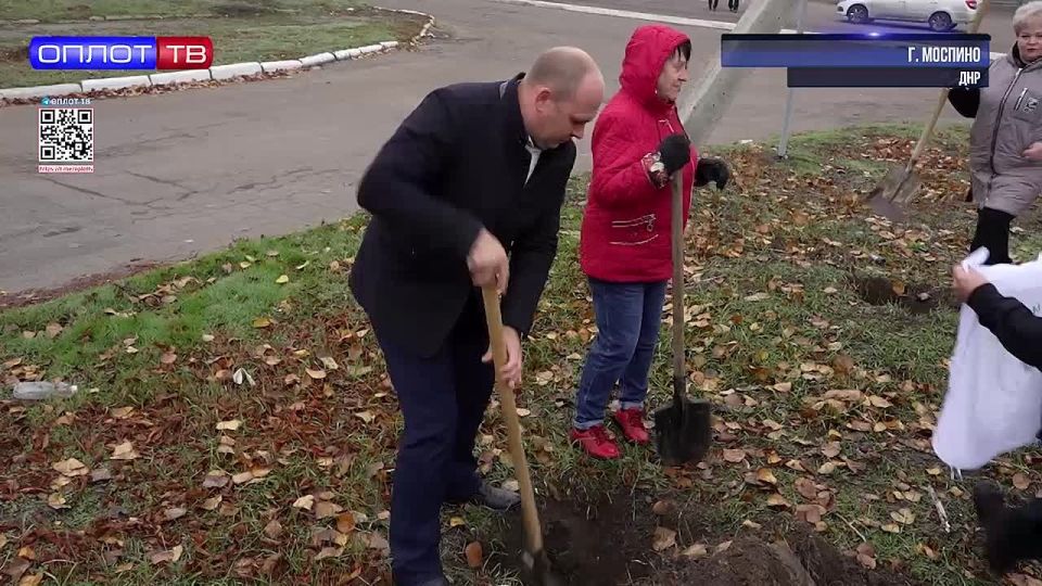 50 рябин в память о бойцах Донбасса в селе Бирюки