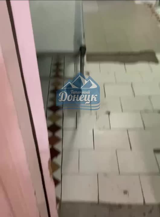 В здании донецкой больницы подкармливают бездомных собак