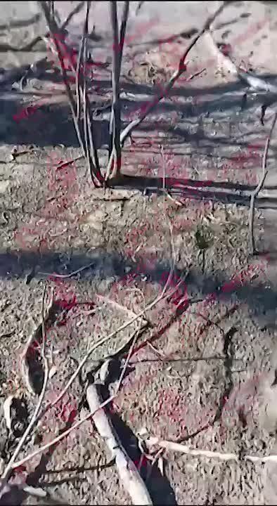 Александр Коц: Битва за Покровск. Последние новости