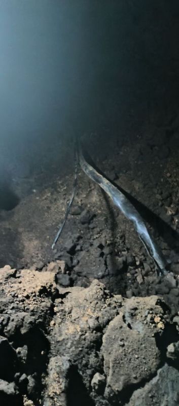 11.11.2025  15:00     ̻     -   (-36/0)   .   . 