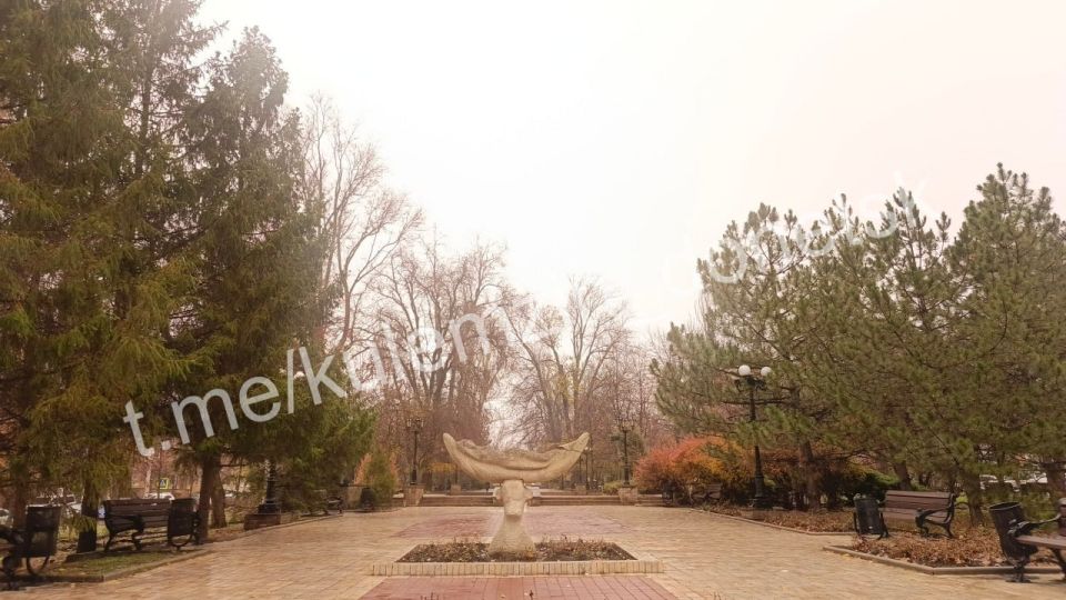 Дождливый бульвар Пушкина