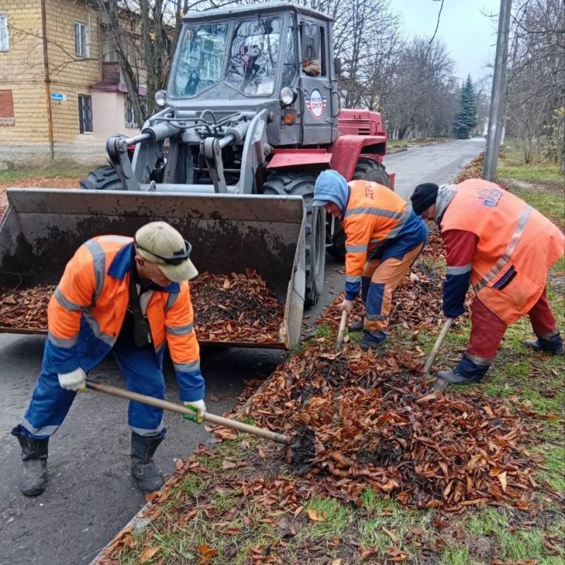 Михаил Меренков: Уборка вдоль проезжей части дороги по улице Вышнеградского