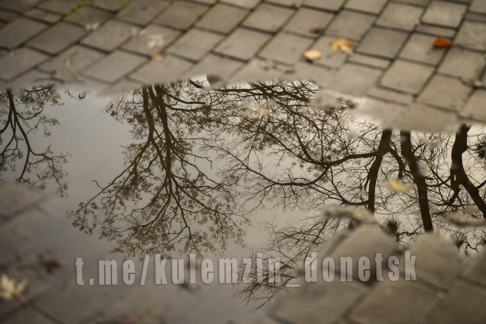 Золотые краски ноября