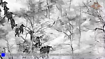 Доброе утро, дорогие читатели!