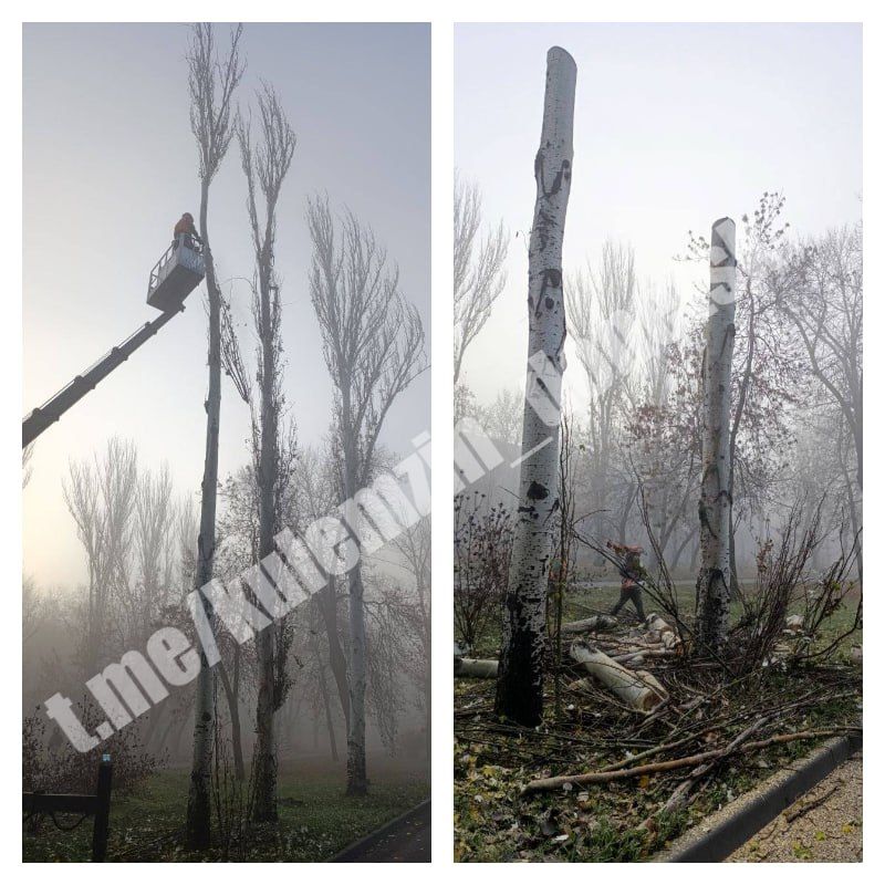 Работы по благоустройству продолжаются во всех районах нашего города