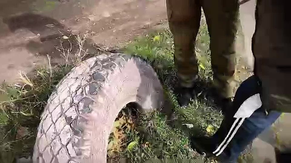 ФСБ задержала террориста, который готовился подорвать чиновника в ДНР