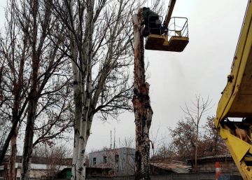 Иван Адамец: Несмотря на ненастную погоду, специалисты муниципального предприятия «Зелёное строительство» в Куйбышевском районе продолжают плановые работы по благоустройству