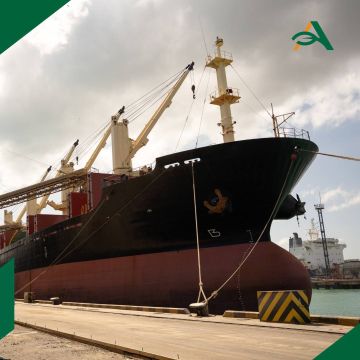 Пункт пропуска через госграницу РФ создадут в морском порту Мариуполь