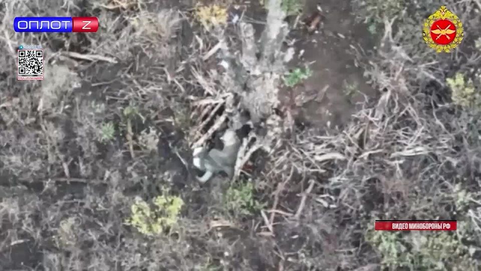 Главное на 14.30 от 19.11.2025