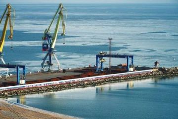 Новые морские ворота России: В Мариупольском порту оборудуют многосторонний пункт пропуска через госграницу РФ