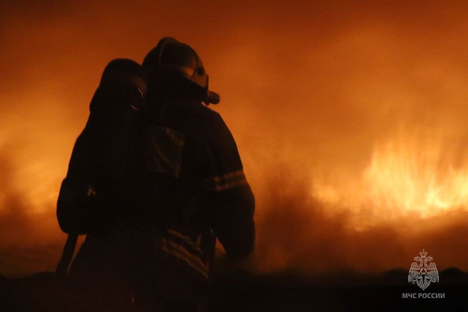   . 20.11.2025 . . ,  -,     