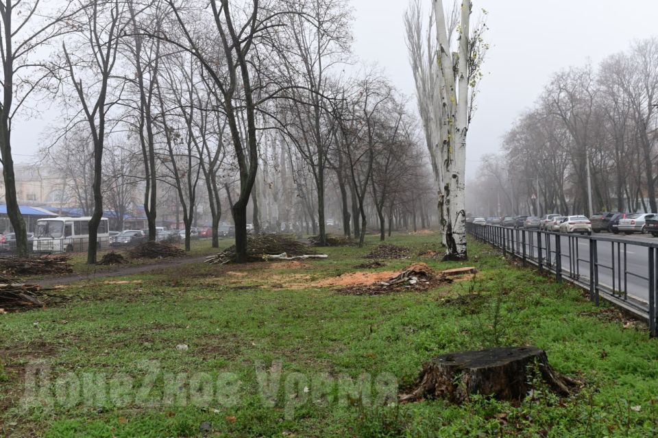Не только в центре: в Калининском районе Донецка провели обрезку деревьев