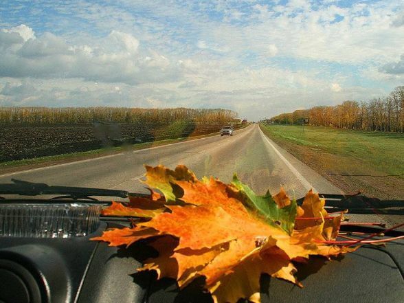  : 24 .      : 24     , ,   .    10-13