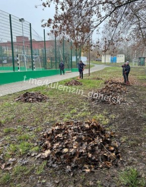 Сотрудники Дирекции парков продолжают работу по благоустройству парковых зон!