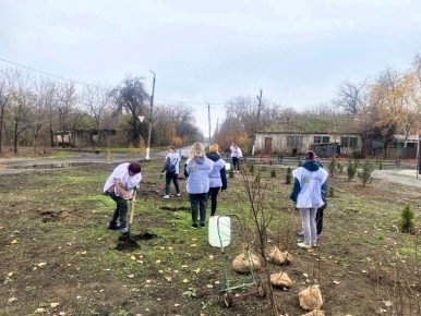 В Республике разрастается «Сад Памяти»
