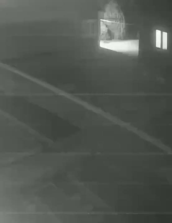 � ���� ��������, ��� ��������� ���� �������� � ����� ����� �������� ���� � �������