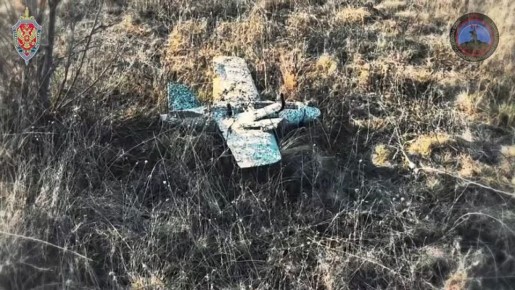      ,            196 ,    113