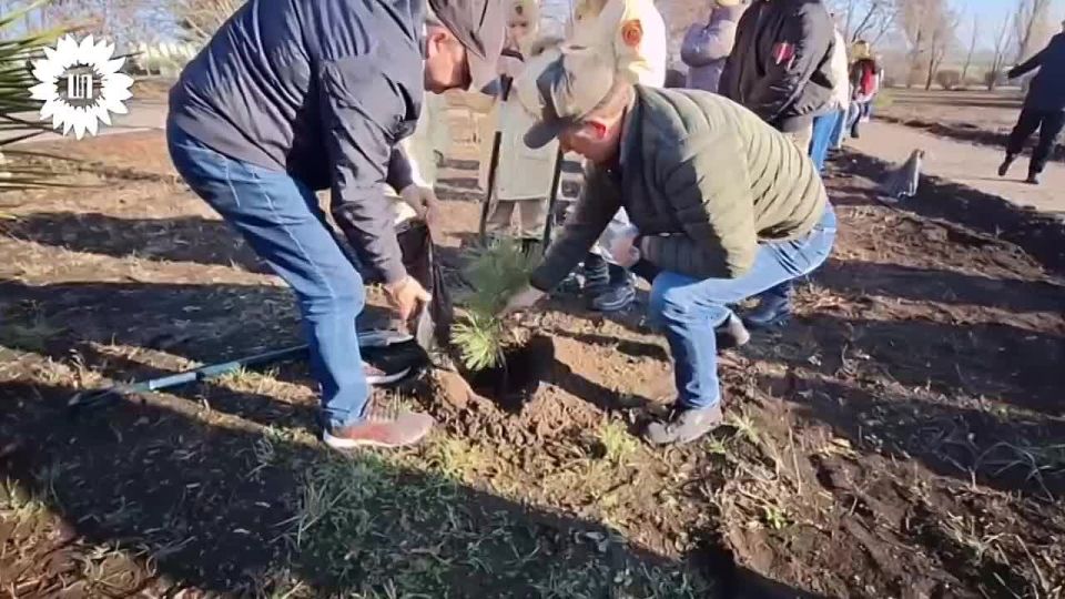 Место притяжения: как Усть-Донецк породнился с Донбассом Жители Усть-Донецкого района Ростовской области с началом Специальной военной операции по освобождению Донбасса сразу включились в дело. Эта история о том...