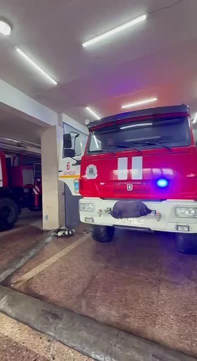 ��������� � ��� ������������: � ������� ����� ���������� � ������ �� �������