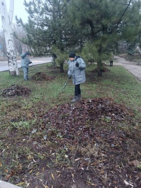 Наталья Бегуненко: Петровский район присоединился к еженедельной акции Чистый четверг