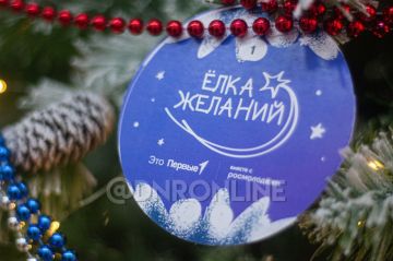 В ДНР стартовал проект «Елка желаний»