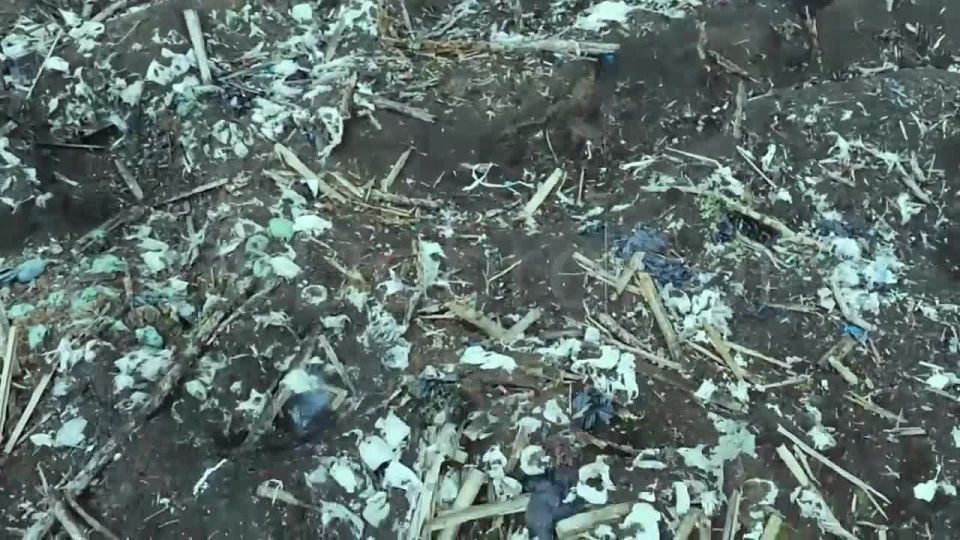 ���� �� �������� ����������